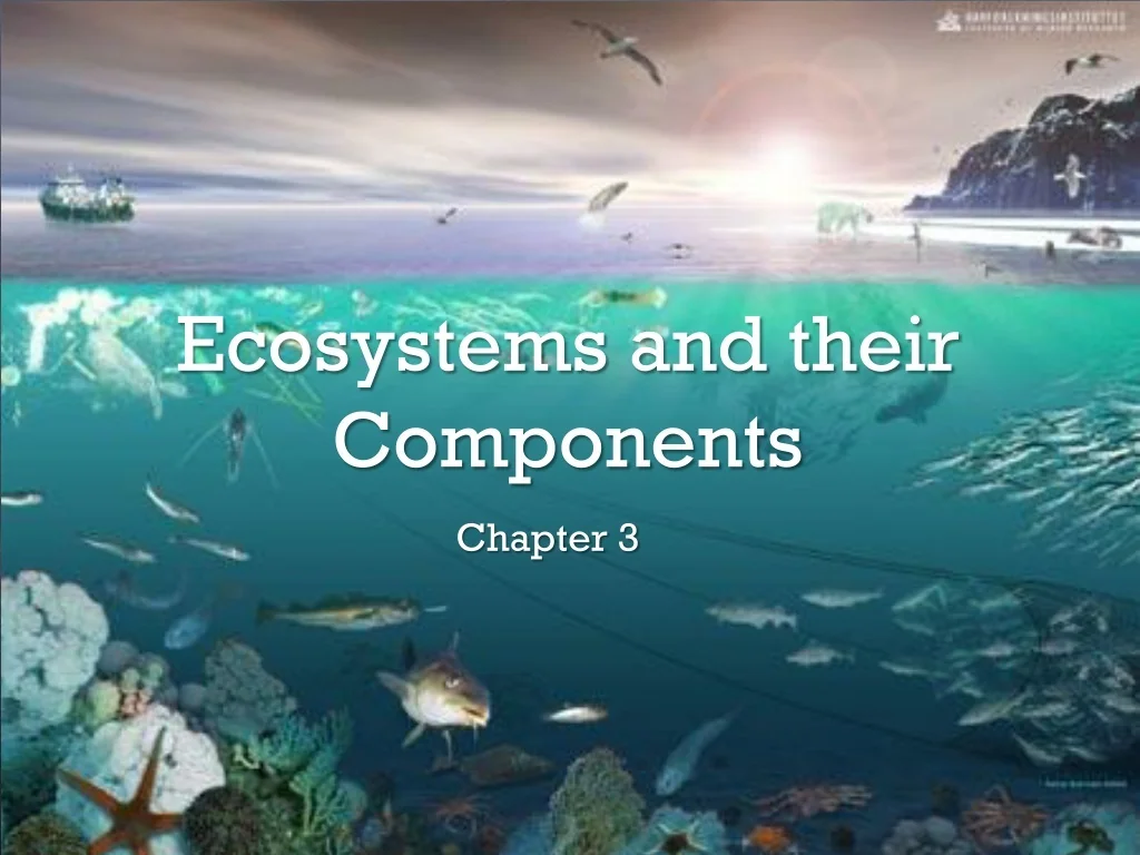 PPT - Ecosystems and their Components PowerPoint Presentation, free ...