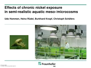 Effects of chronic nickel exposure in semi-realistic aquatic meso-/microcosms