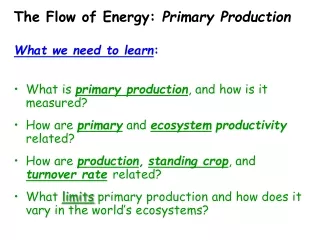 the flow of energy primary production