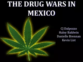 THE DRUG WARS IN MEXICO