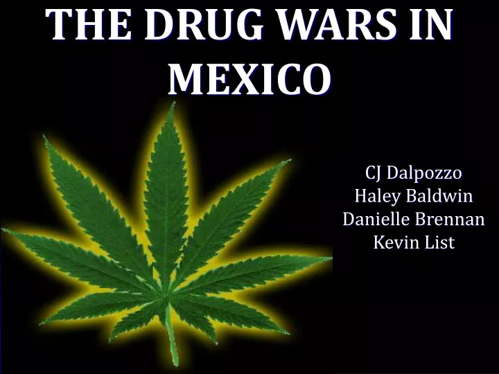 the drug wars in mexico