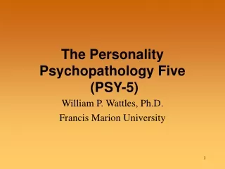The Personality Psychopathology Five  (PSY-5)