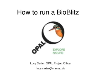 How to run a BioBlitz