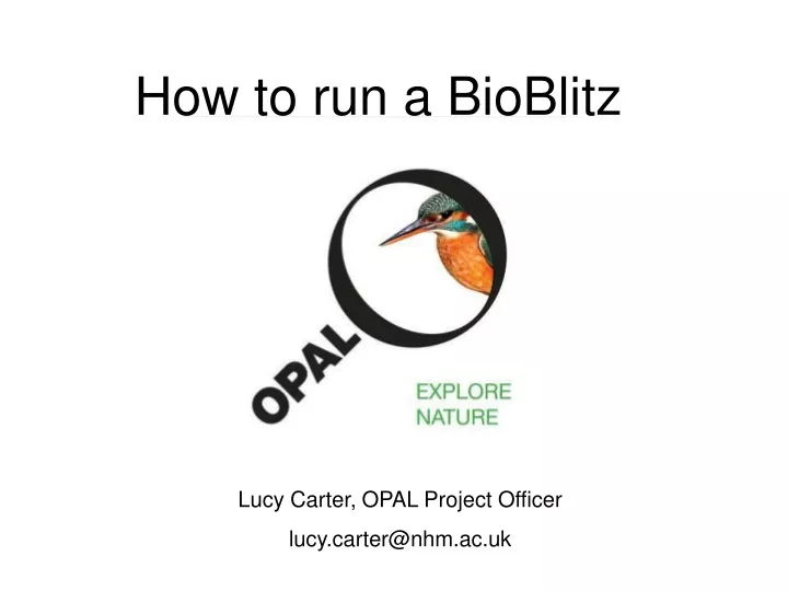how to run a bioblitz