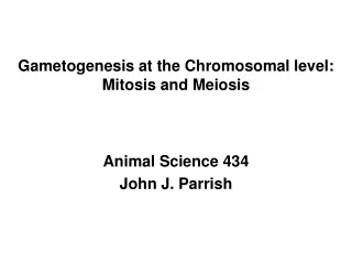 Gametogenesis at the Chromosomal level:  Mitosis and Meiosis