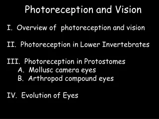I.  Overview of  photoreception and vision II.  Photoreception in Lower Invertebrates