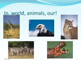 In, world, animals, our!
