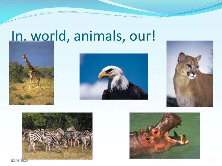 in world animals our
