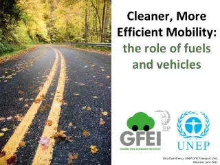 Cleaner, More Efficient Mobility:  the role of fuels and vehicles