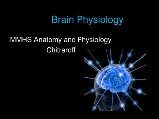 Brain Physiology