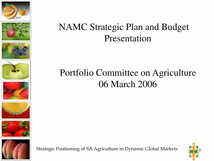namc strategic plan and budget presentation