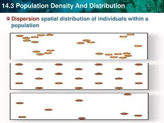 Dispersion  spatial distribution of individuals within a population