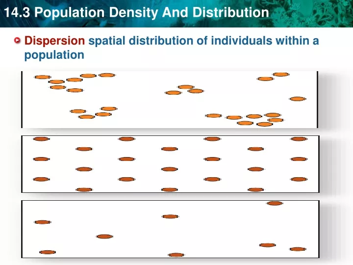 dispersion spatial distribution of individuals within a population