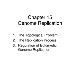 Chapter 15 Genome Replication