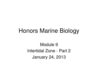 Honors Marine Biology
