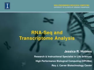 RNA-Seq and  Transcriptome A nalysis