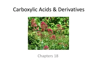 Carboxylic Acids &amp; Derivatives