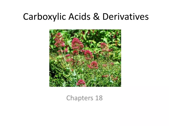 carboxylic acids derivatives