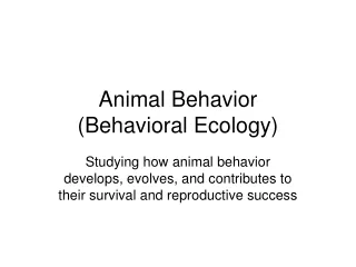 Animal Behavior (Behavioral Ecology)