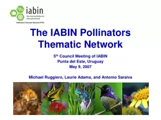 The IABIN Pollinators Thematic Network