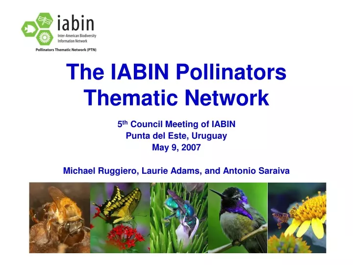 the iabin pollinators thematic network
