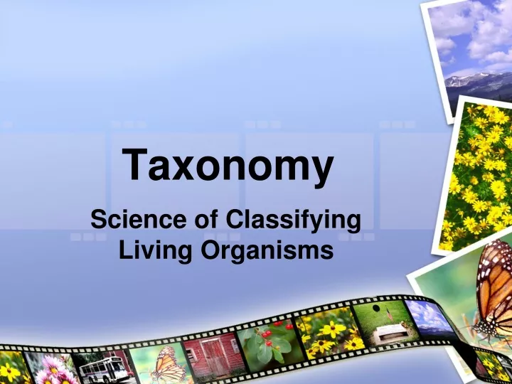 taxonomy