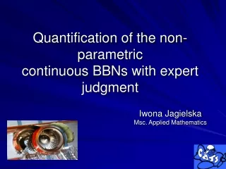 Quantification of the non- parametric continuous BBNs with expert judgment