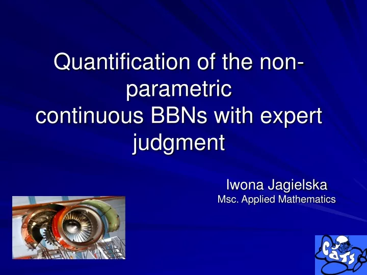 quantification of the non parametric continuous bbns with expert judgment
