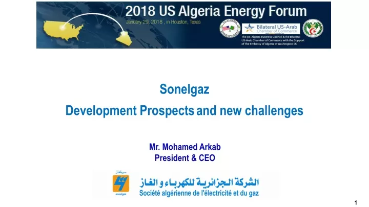 sonelgaz development prospects and new challenges