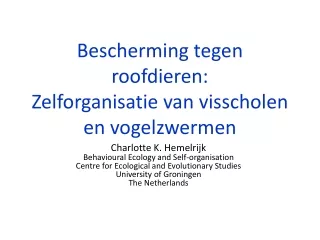 Bescherming tegen roofdieren: Zelforganisatie van visscholen en vogelzwermen