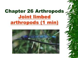 Chapter 26 Arthropods Joint limbed arthropods (1 min)
