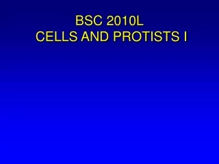 BSC 2010L  CELLS AND PROTISTS I