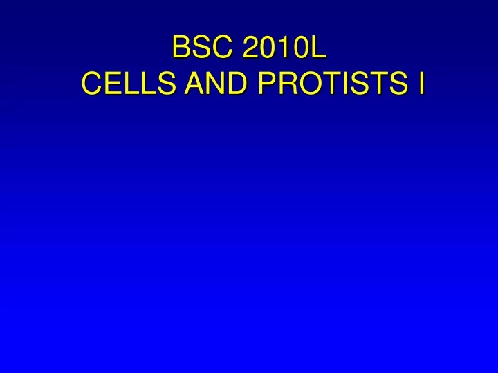 bsc 2010l cells and protists i