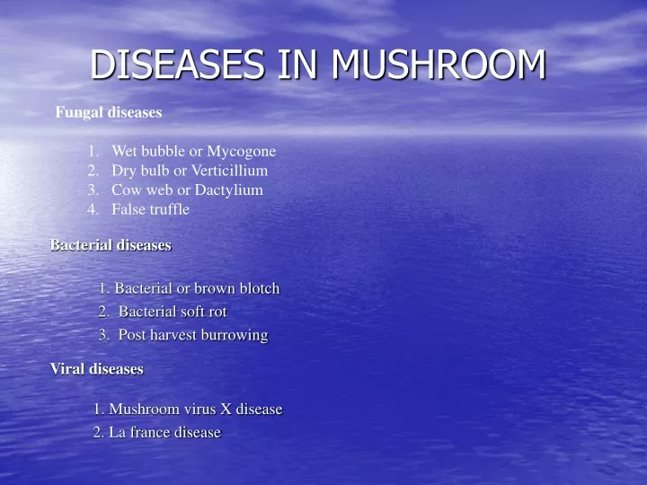 diseases in mushroom
