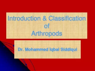 Introduction &amp; Classification of Arthropods