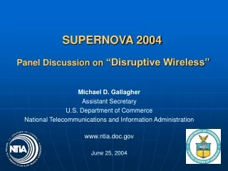 SUPERNOVA 2004  Panel Discussion on  “Disruptive Wireless”