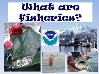 What are fisheries?