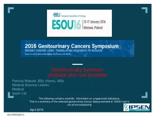 Genitourinary tumours:  prostate and non prostate