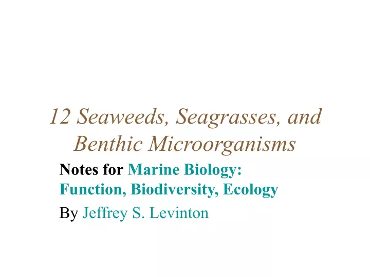 12 seaweeds seagrasses and benthic microorganisms