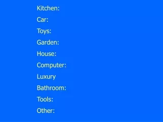 Kitchen:         Car:  Toys:  Garden:  House:  Computer:  Luxury  Bathroom:  Tools:  Other: