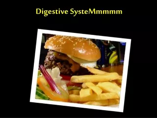Digestive SysteMmmmm