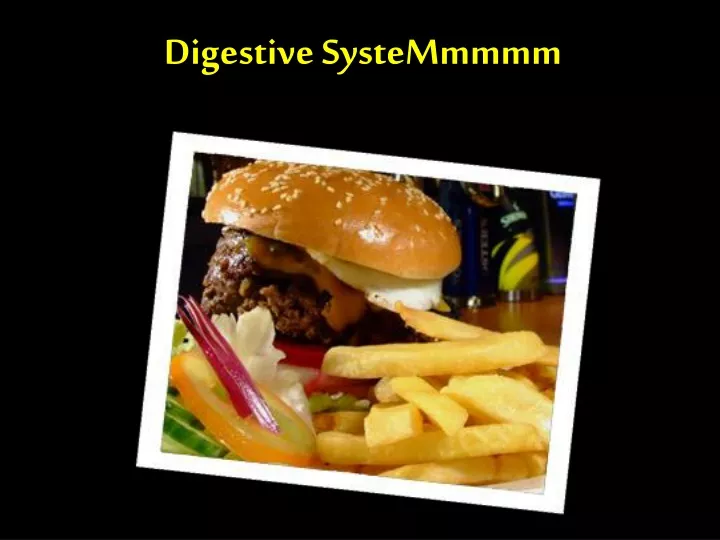 digestive systemmmmm
