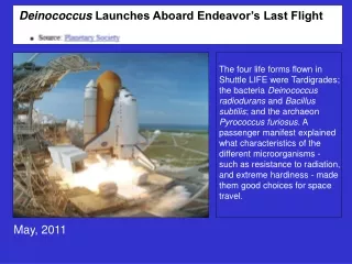 Deinococcus  Launches Aboard Endeavor’s Last Flight