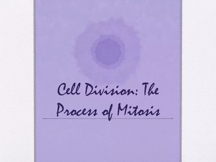 cell division the process of mitosis