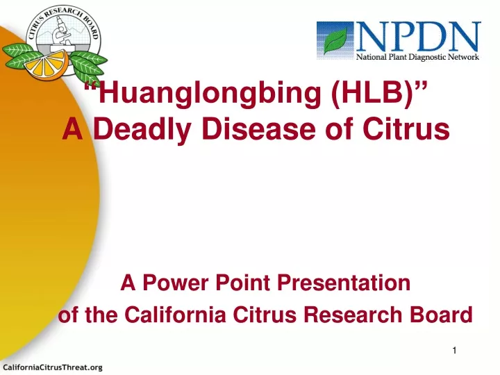 huanglongbing hlb a deadly disease of citrus