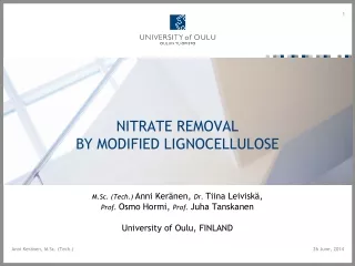 Nitrate removal  by modified lignocellulose