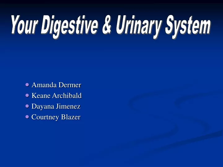 your digestive urinary system