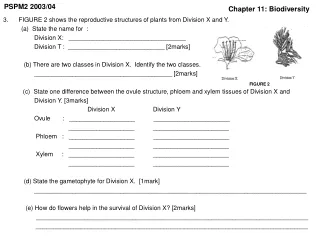 3.      FIGURE 2 shows the reproductive structures of plants from Division X and Y.