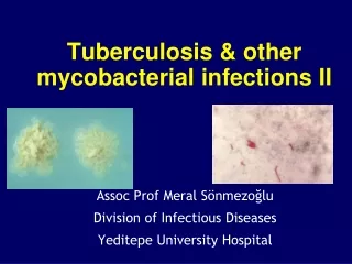 Tuberculosis &amp; other mycobacterial infections II