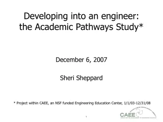 Developing into an engineer:  the Academic Pathways Study*